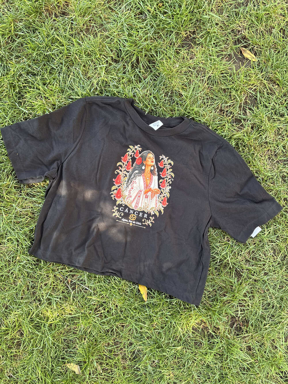 Polera Crop Top Zodiaco Chileno – Ilustración Astral